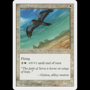 MTG Halcon de la Meseta (Mesa Falcon) Fifth Edition 5ed#46