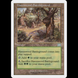 MTG Havenwood Battleground Classic Sixth Edition - PL