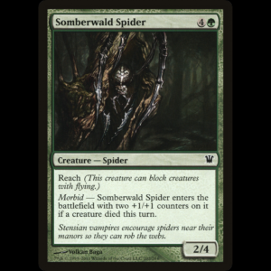 MTG Somberwald Spider Innistrad