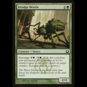 MTG Drudge Beetle Return to Ravnica rtr#122