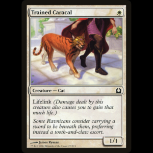 MTG Trained Caracal Return to Ravnica rtr#27