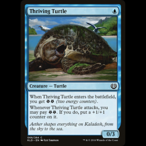 MTG Thriving Turtle Kaladesh kld#66