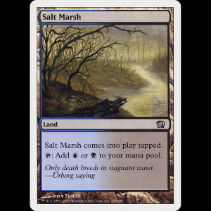 MTG Salt Marsh Eighth Edition - HP