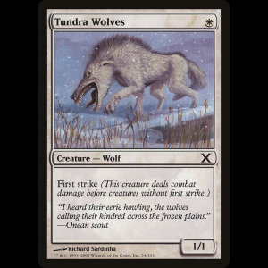 MTG Tundra Wolves Tenth Edition - HP