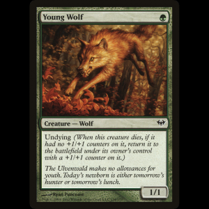 MTG Lobo joven (Young Wolf) Dark Ascension