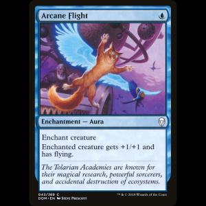 MTG Arcane Flight Dominaria dom#43