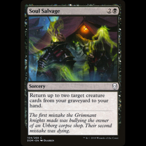 MTG Soul Salvage Dominaria dom#104