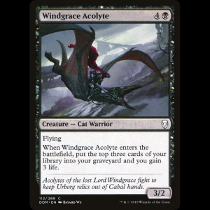 MTG Windgrace Acolyte Dominaria dom#112