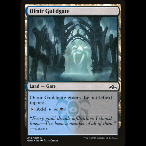 MTG Dimir Guildgate Guilds of Ravnica grn#245