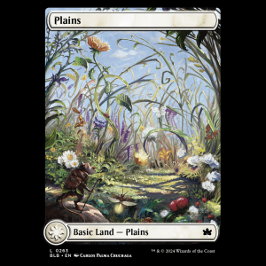 MTG Plains Bloomburrow  blb#263