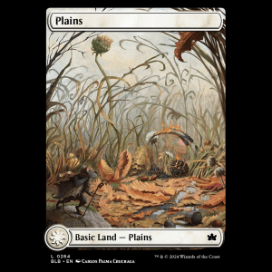 MTG Plains Bloomburrow  blb#264