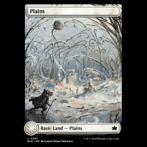 MTG Plains Bloomburrow  blb#265