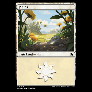 MTG Plains Bloomburrow blb#369