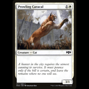 MTG Caracal rondador (Prowling Caracal) Ravnica Allegiance rna#17