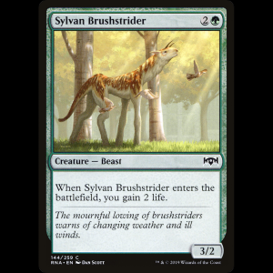 MTG Zancoarbusto silvano (Sylvan Brushstrider) Ravnica Allegiance rna#144