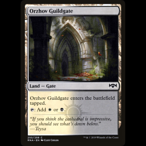 MTG Portal del Gremio Orzhov (Orzhov Guildgate) Ravnica Allegiance rna#253