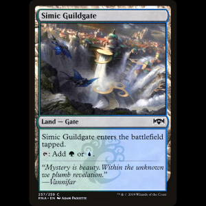 MTG Simic Guildgate Ravnica Allegiance rna#257