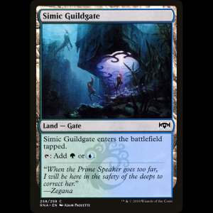 MTG Portal del Gremio Simic (Simic Guildgate) Ravnica Allegiance rna#258