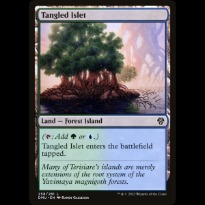 MTG Tangled Islet Dominaria United dmu#258