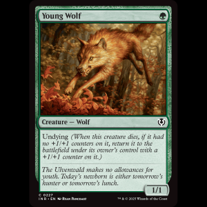 MTG Young Wolf Innistrad Remastered inr#227