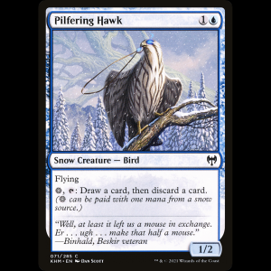 MTG Pilfering Hawk Kaldheim khm#71