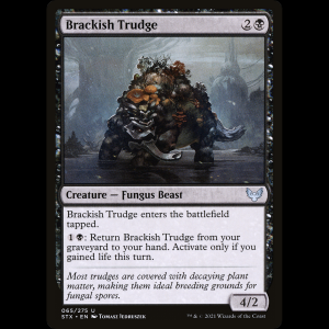 MTG Pantanoso salobre (Brackish Trudge) Strixhaven: School of Mages stx#65