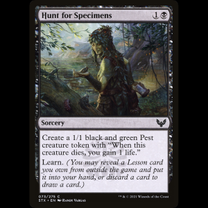 MTG Caza de especímenes (Hunt for Specimens) Strixhaven: School of Mages stx#73