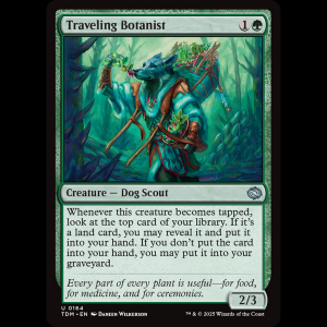 MTG Traveling Botanist Tarkir: Dragonstorm tdm#164