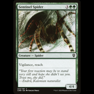 MTG Sentinel Spider Commander Legends cmr#253