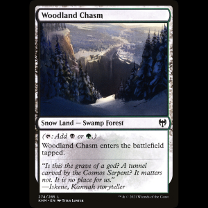 MTG Abismo forestal (Woodland Chasm) Kaldheim khm#274