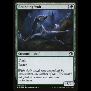 MTG Lobo brincador (Bounding Wolf) Innistrad: Midnight Hunt mid#170