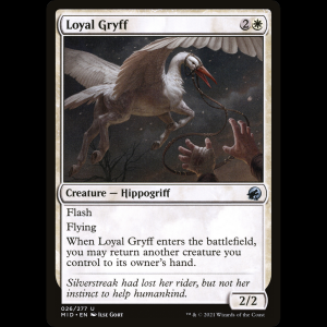 MTG Gryff leal (Loyal Gryff) Innistrad: Midnight Hunt mid#26