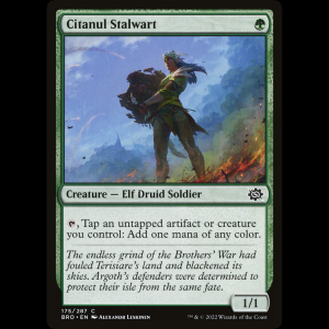 MTG Protector de Citanul (Citanul Stalwart) The Brothers' War bro#175