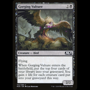MTG Buitre atiborrándose (Gorging Vulture) Core Set 2020 m20#102