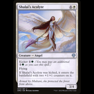 MTG Acólita de Shalai (Shalai's Acolyte) Dominaria United dmu#33