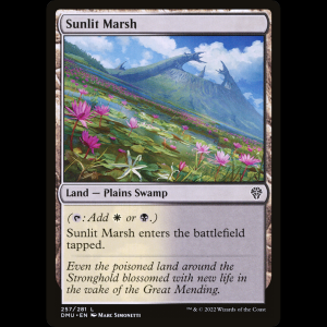 MTG Marjal iluminado (Sunlit Marsh) Dominaria United dmu#257