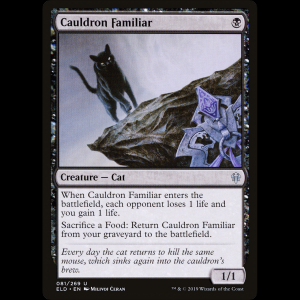 MTG Familiar del Caldero (Cauldron Familiar) Throne of Eldraine eld#81
