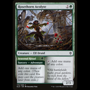 MTG  (Rosethorn Acolyte // Seasonal Ritual) Throne of Eldraine eld#174