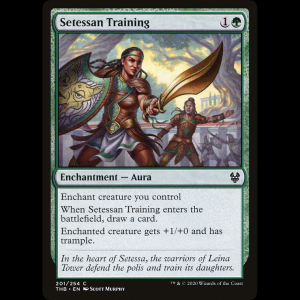 MTG Entrenamiento setessano (Setessan Training) Theros Beyond Death thb#201