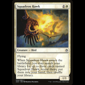 MTG Squadron Hawk Masters 25 a25#34