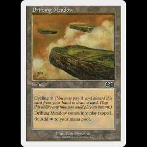 MTG Drifting Meadow Battle Royale Box Set brb#22