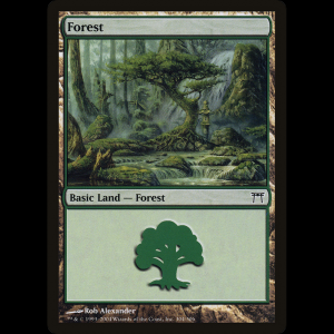 MTG Bosque (Forest) Champions of Kamigawa chk#304