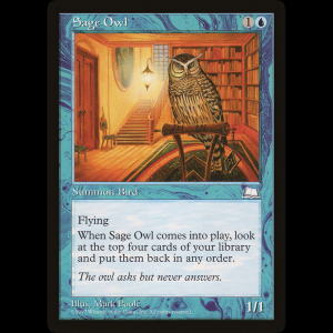 MTG Búho sabio (Sage Owl) Weatherlight wth#52