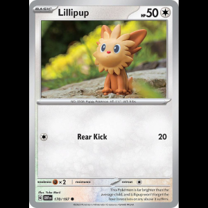 Pokemon TCG Lillipup - Obsidian Flames