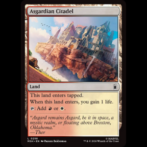 MTG Asgardian Citadel Marvel Super Heroes msh#258