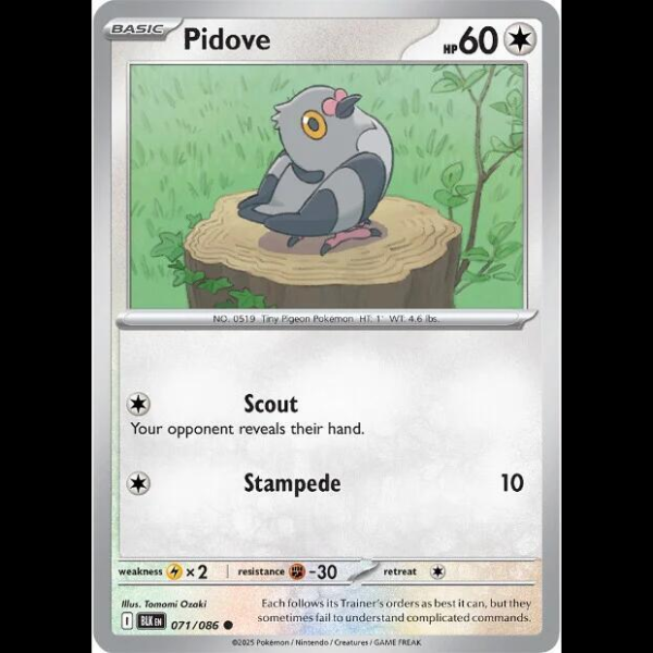 full house pokemon cards Combo gengar and Charizard full house cards