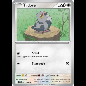 Pokemon TCG Pidove - Black Bolt - Reverse Holofoil