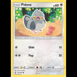 Pokemon TCG Pidove - SM - Unified Minds