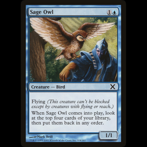 MTG Búho sabio (Sage Owl) Tenth Edition 10e#104